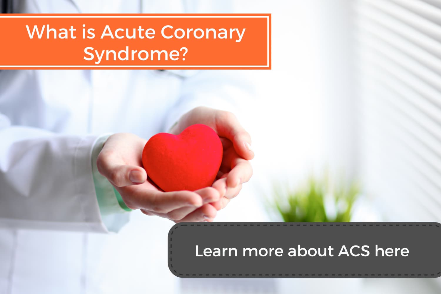 Read more about the article What is Acute Coronary Syndrome?
